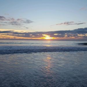 Meet your Posher, Leonor